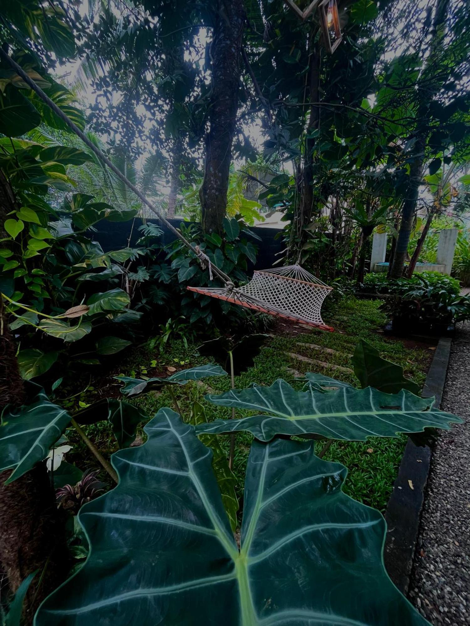 Bodhi Garden Villa In Варкала Экстерьер фото